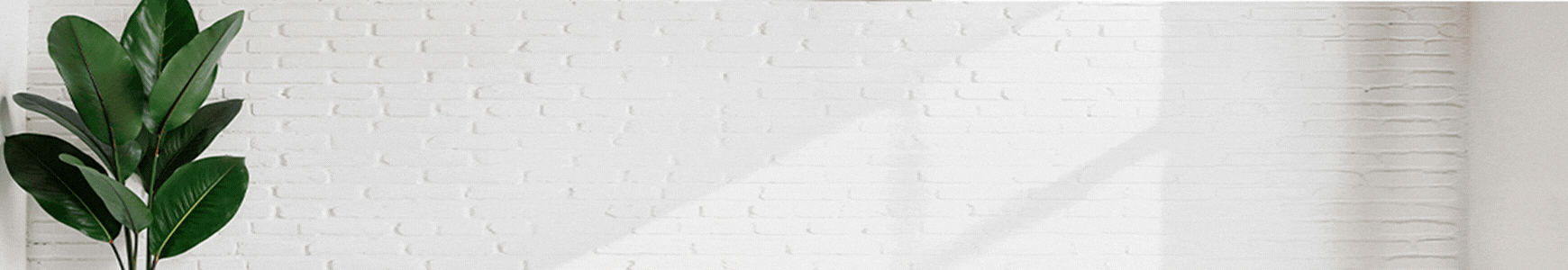 Nueva coleccion de cuadros